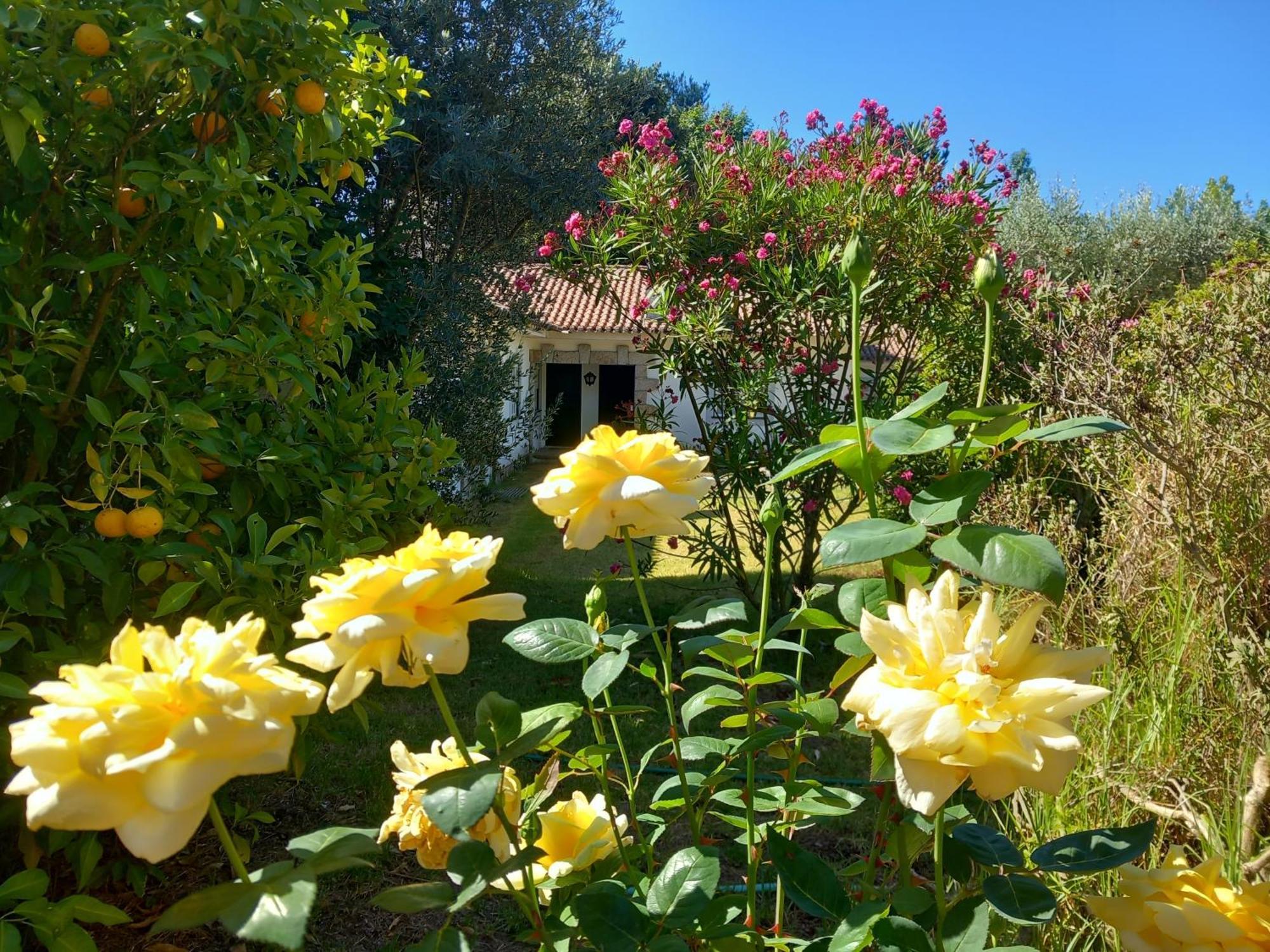 Casas Do Zagao - Turismo Rural Carregal do Sal エクステリア 写真